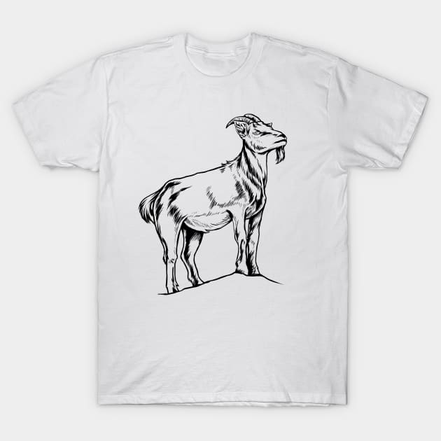 Line drawing - goat T-Shirt by Modern Medieval Design